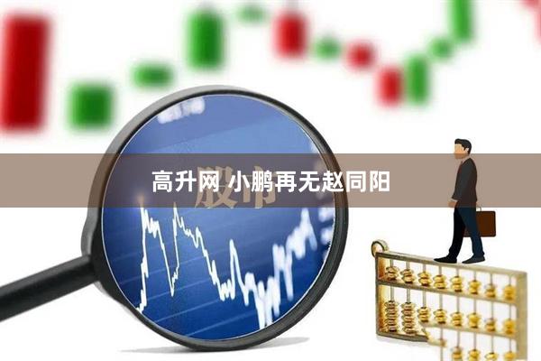 高升网 小鹏再无赵同阳